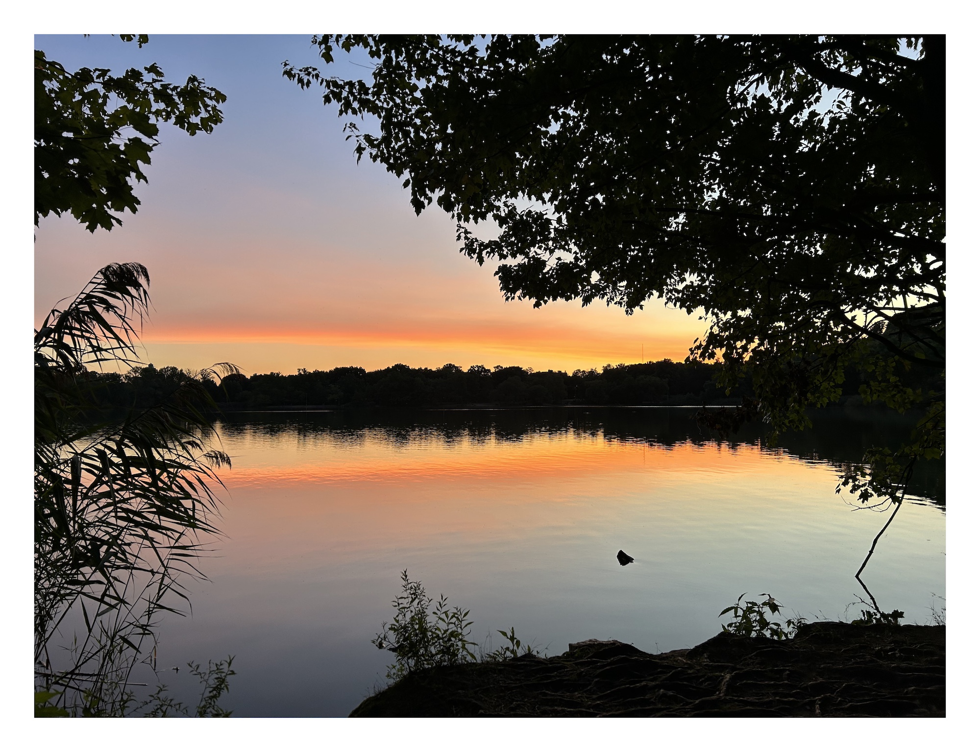 sunset over a lake; the yellow-orange clouds are reflected on the calm surface of the water; the lake is rimmed by dark trees in silhouette