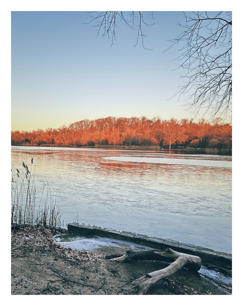 warm sunlight bathes trees on the far side of a frozen lake