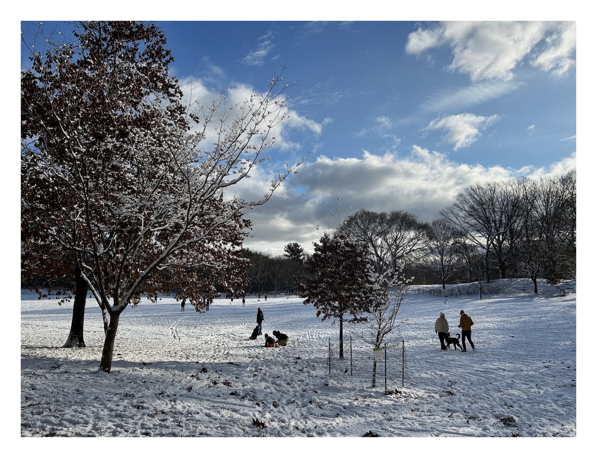people and children on sleds enjoy a local park, with snow covering the lawn and the trees under clear blue skies