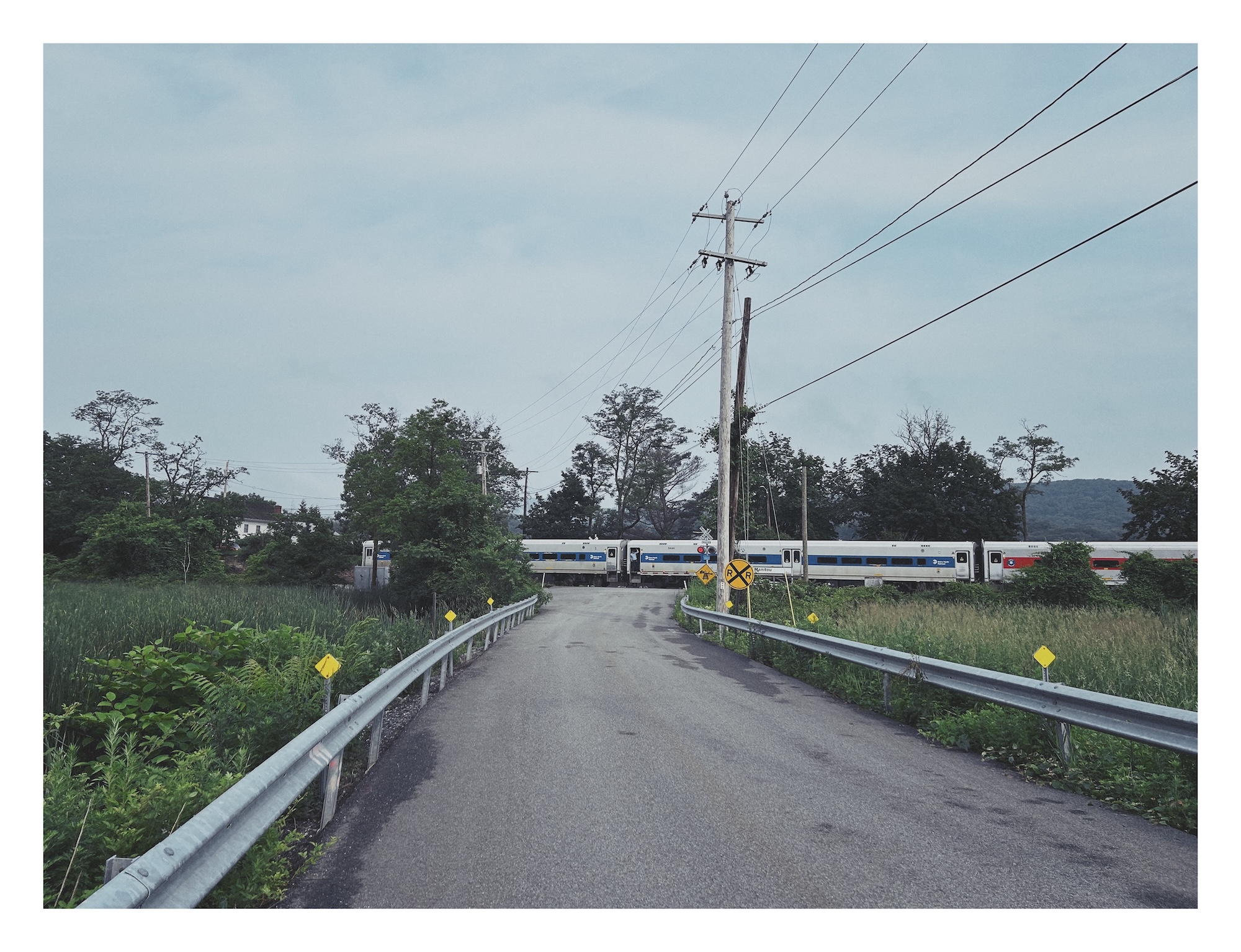 a narrow paved road cuts through tall grass to a railroad track, where a silver train slowly departs
