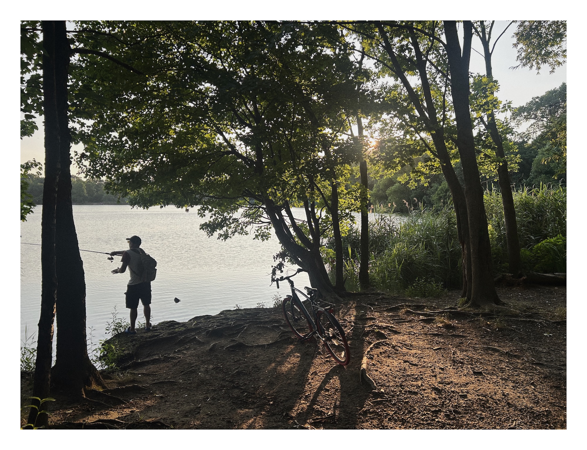 a man fishes on the shore of a lake; his bike rests on its kickstand nearby; the fading summer sinks behind the trees