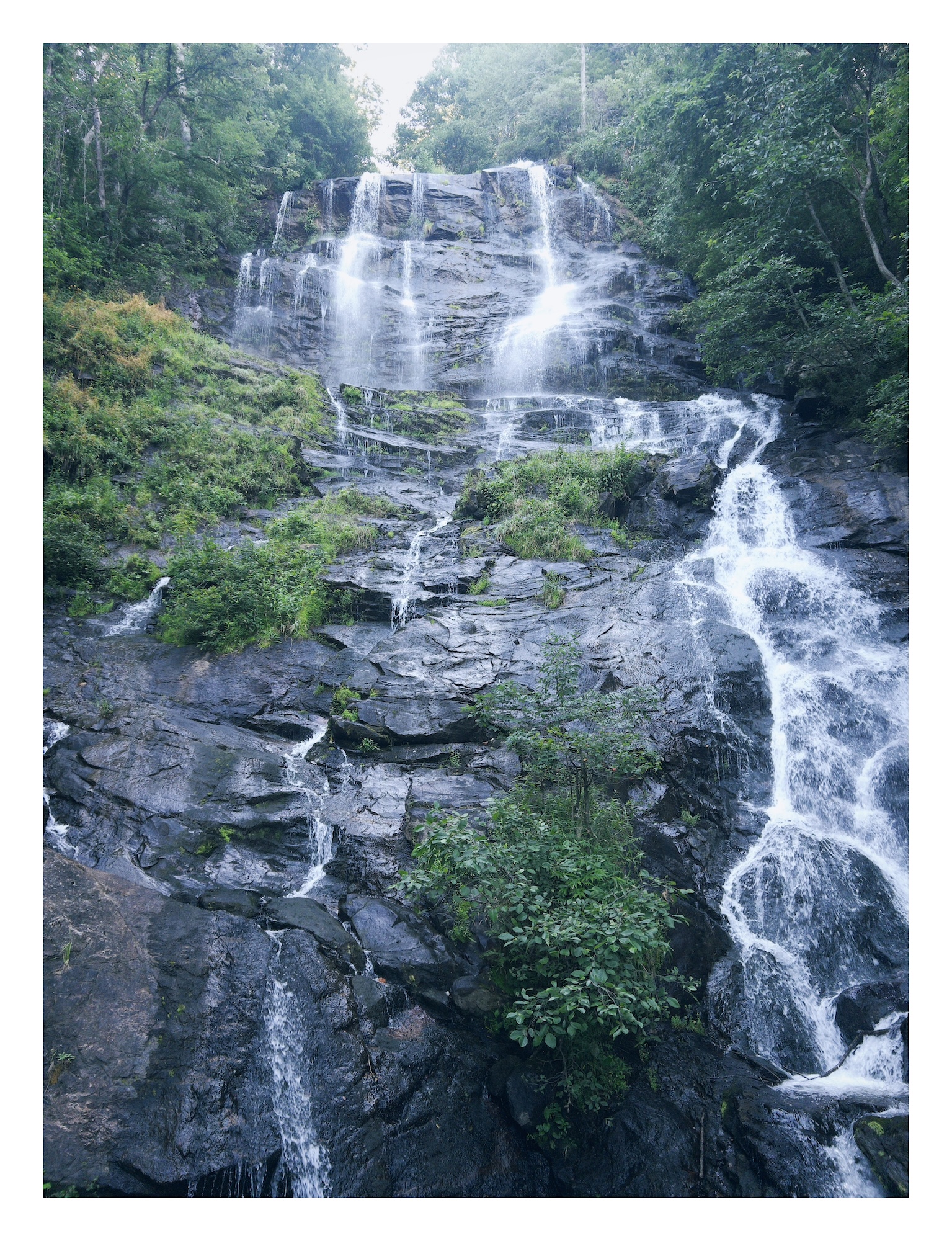 photo of Amicalola Falls in Georgia, where many thin streams of water fall over multiple cascades over dark rocks where lush green bushes cling