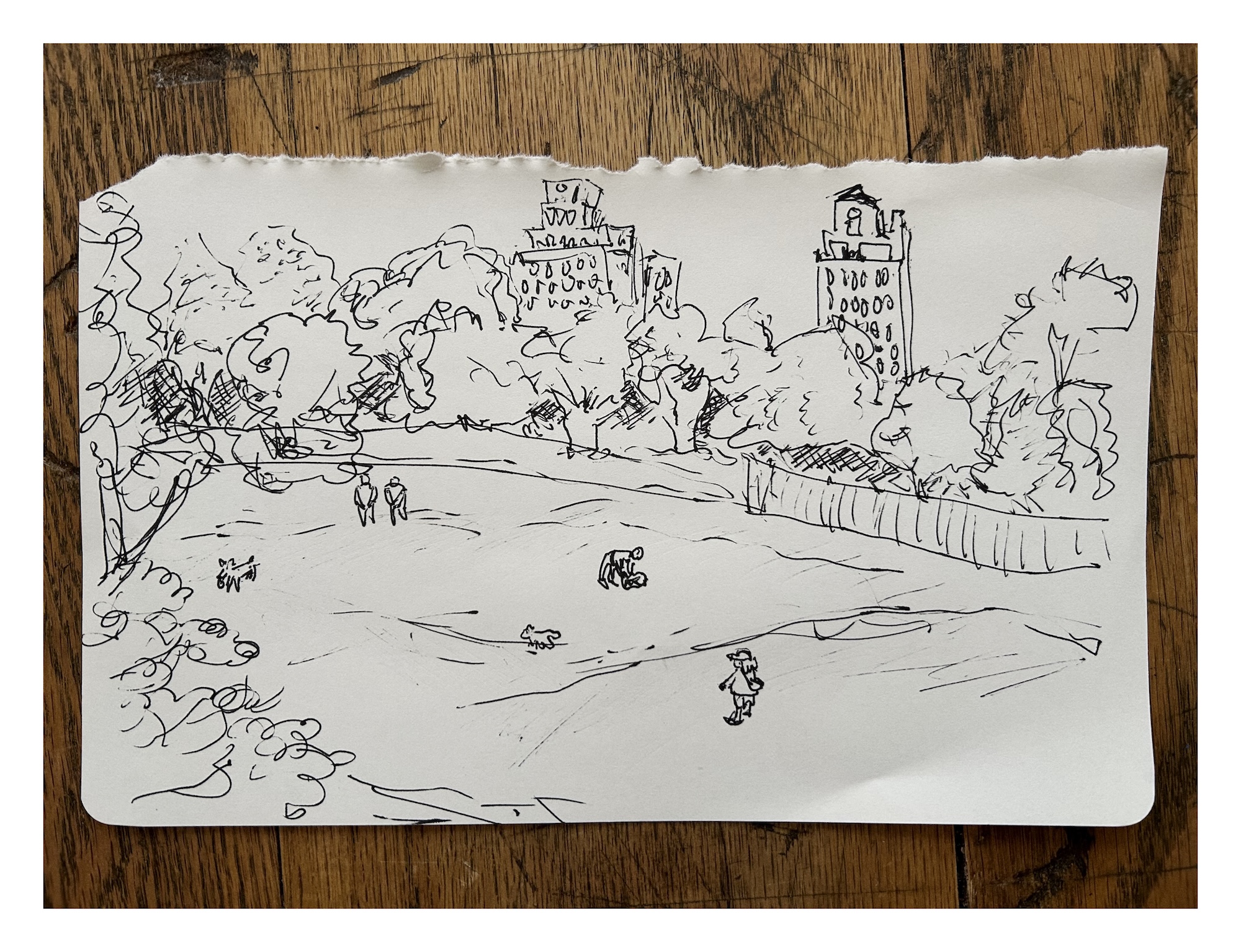 sketch in ink of Prospect Park in Brooklyn, wherein people and dogs recreate on a lawn surrounded by trees, with a couple tall residential buildings behind