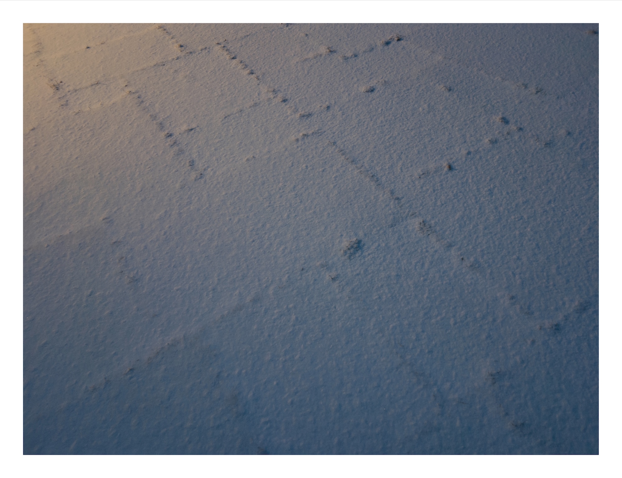a light dusting of snow reveals tufts of grass and moss at the boundaries between flat stone pavers