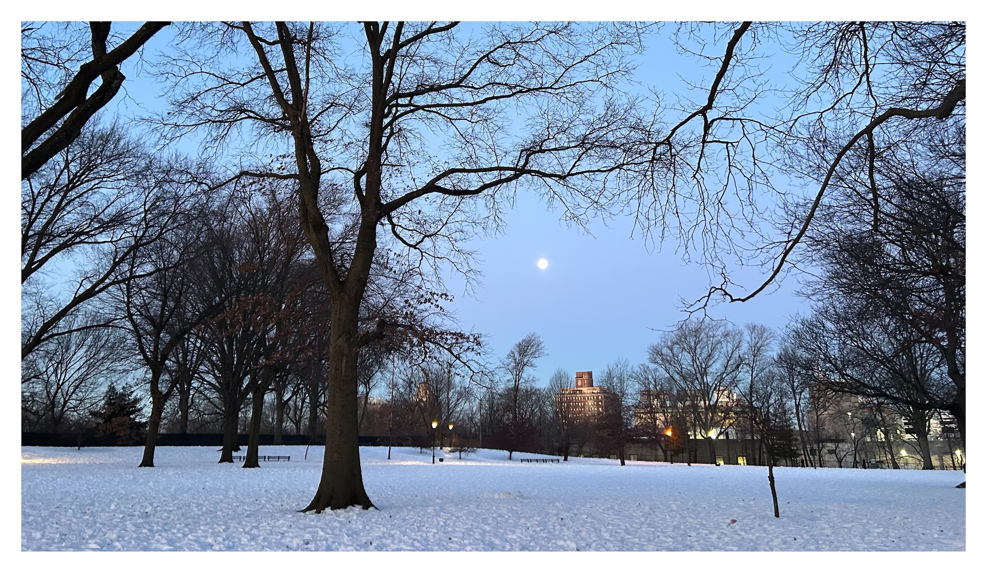 moonrise over a snowy open field dotted with trees