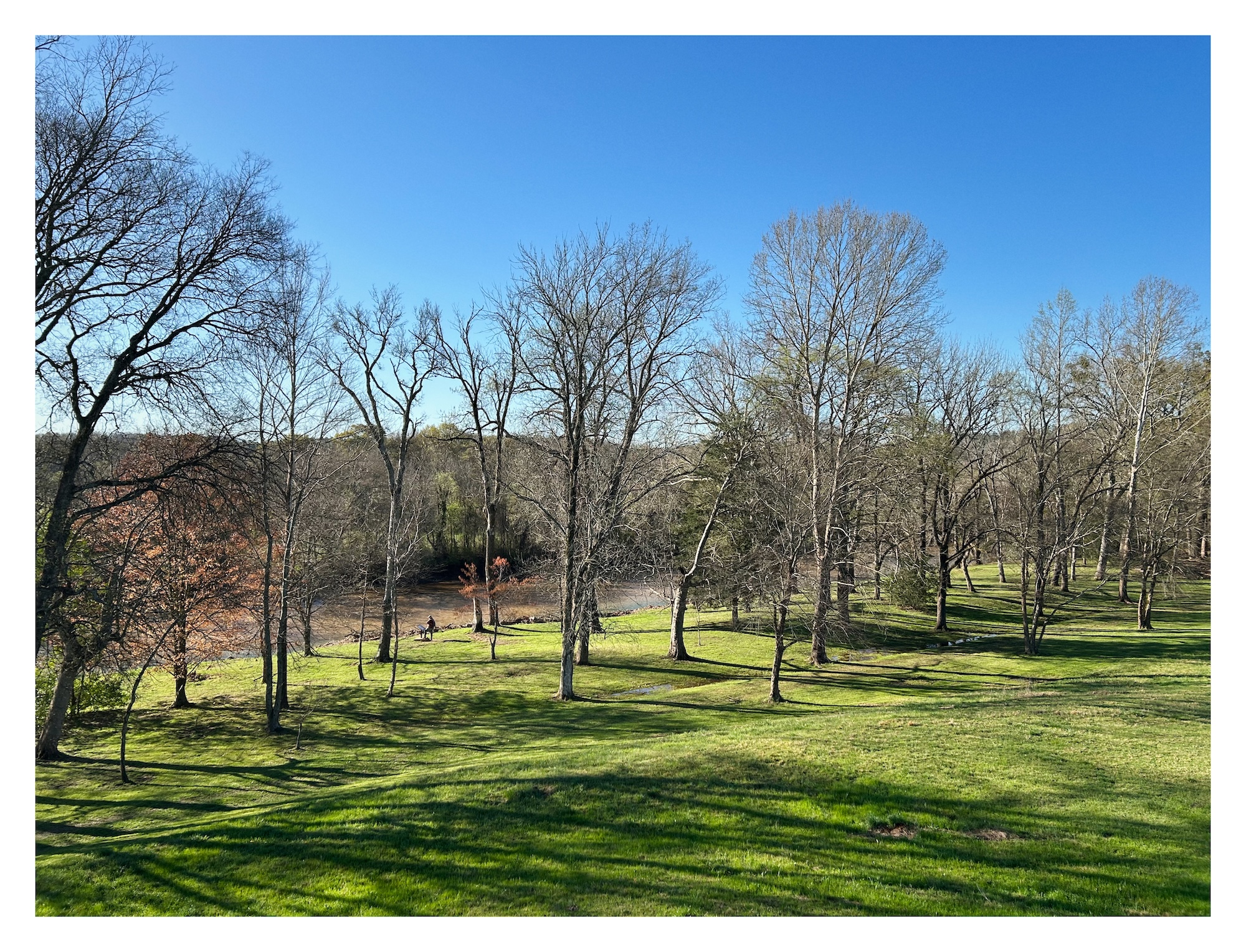 view of the Etowah River from atop one of the Etowah Indian Mounds; the river is lined by tall trees and a green lawn
