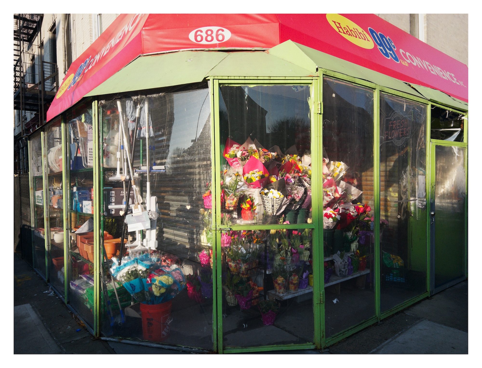 morning light chases a shadow across a closed storefront with flower bouquets visible behind the glass entrance