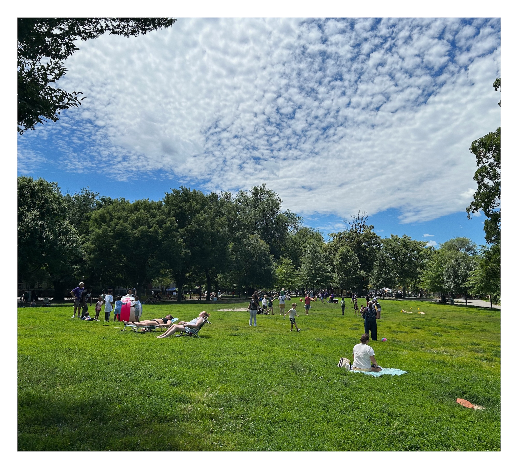 sunbathers soak up the sun on the Brower Park lawn