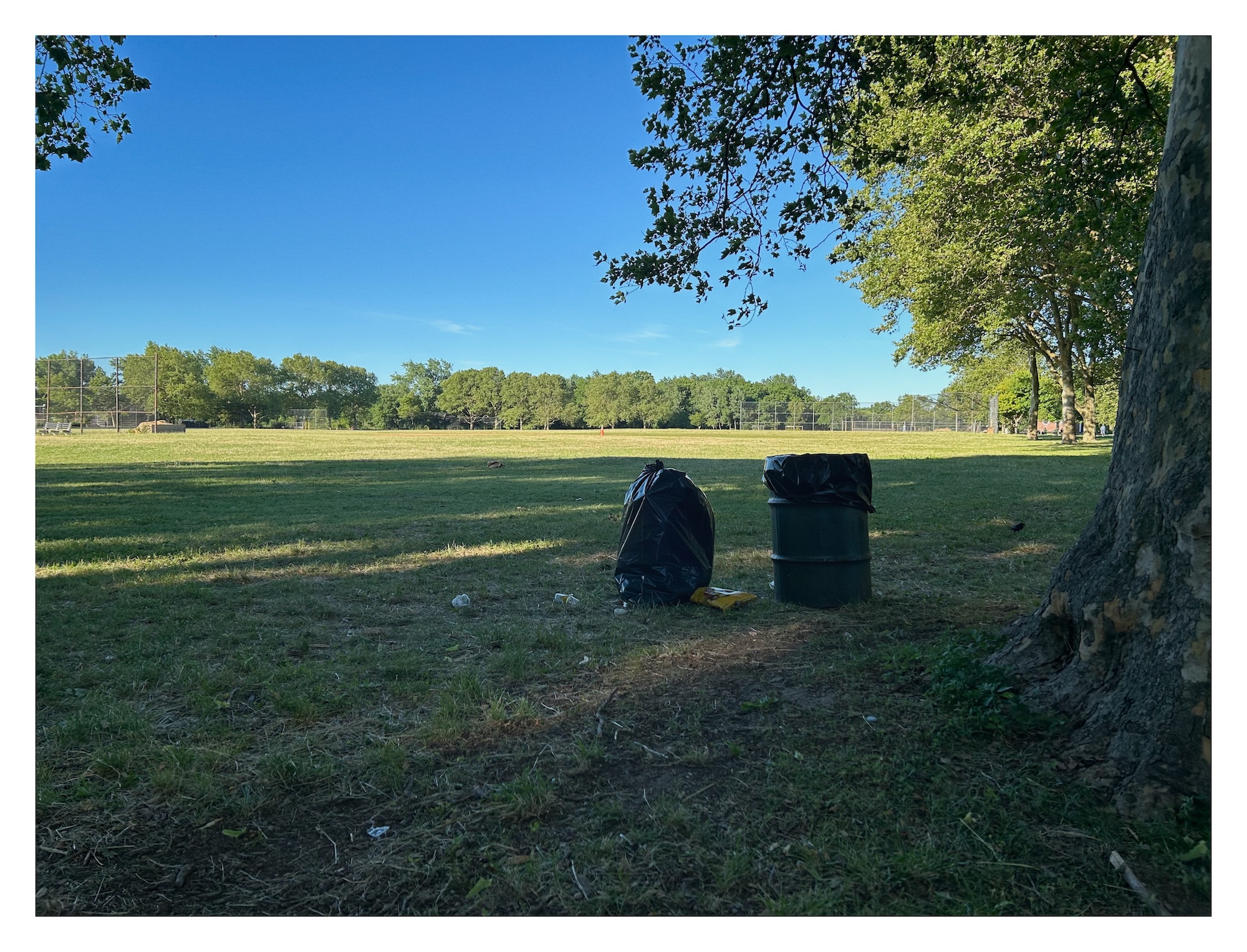 a trash bag and a trash can rest in the shade of a large tree in broad green lawn in Canarsie Park