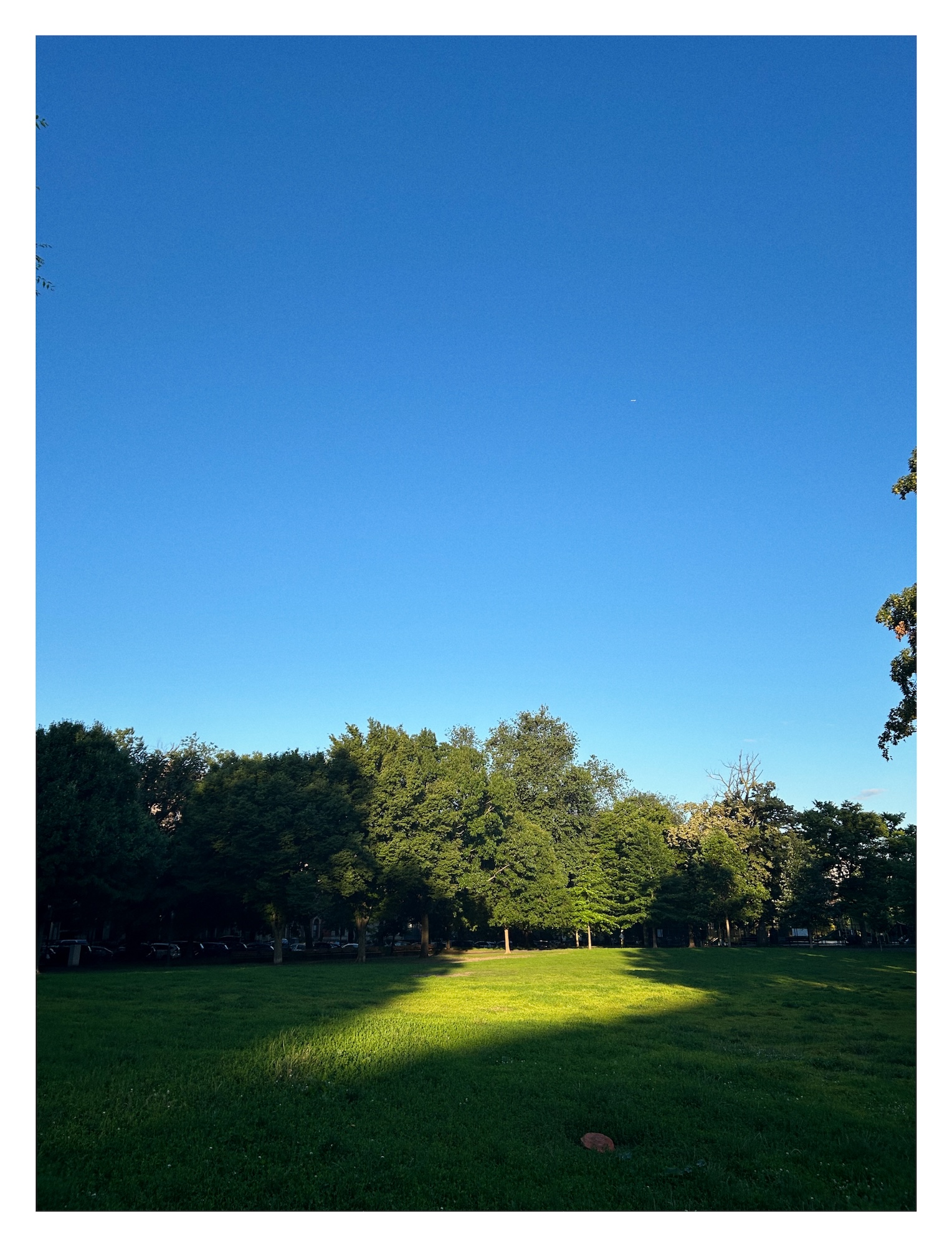 a ray of sunlight lands brightly on the grassy lawn and green trees of Brower Park in Brooklyn