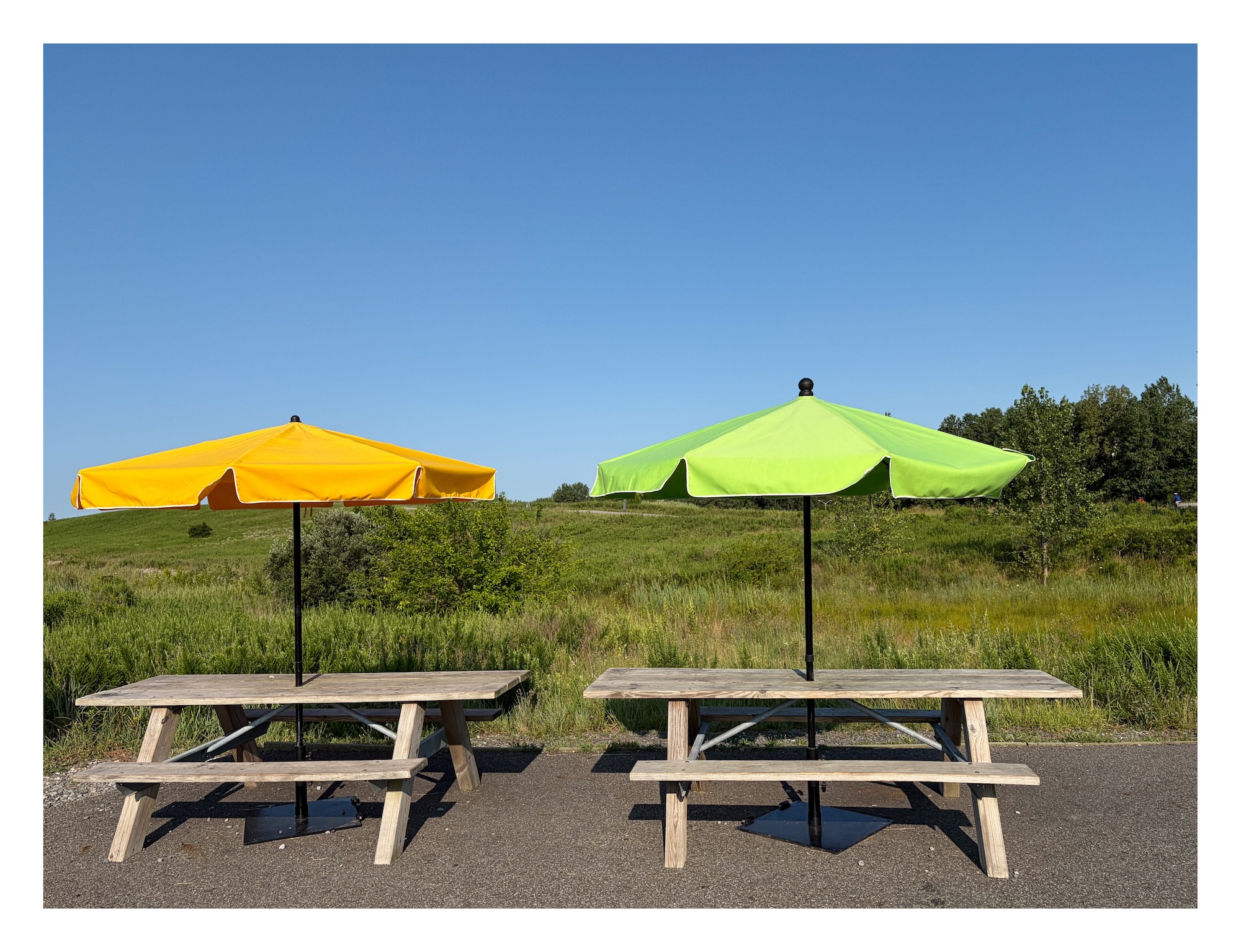 yellow and green umbrellas on picnic tables