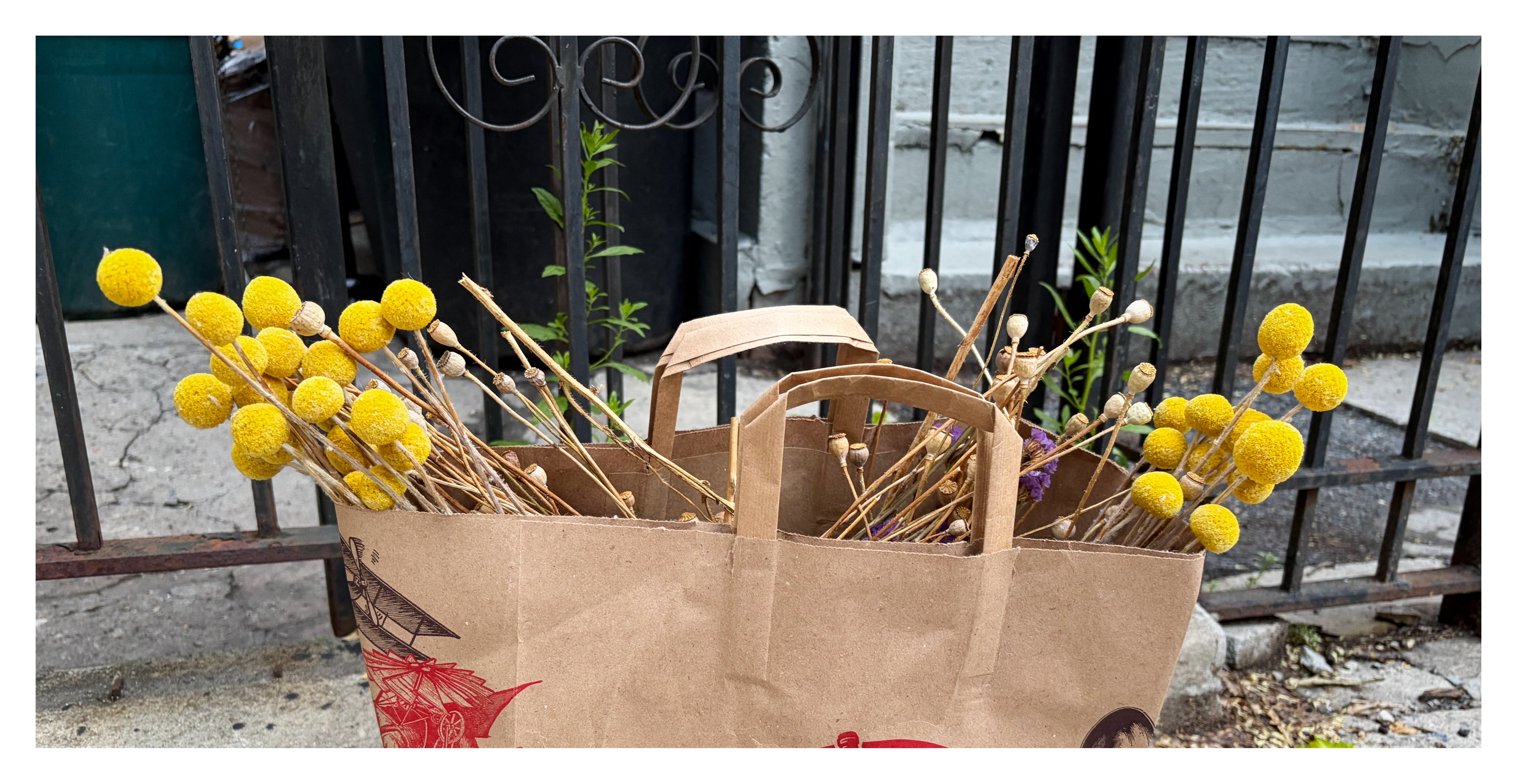 round yellow flowers on slim stalks peek out over the edge of larger brown paper bag