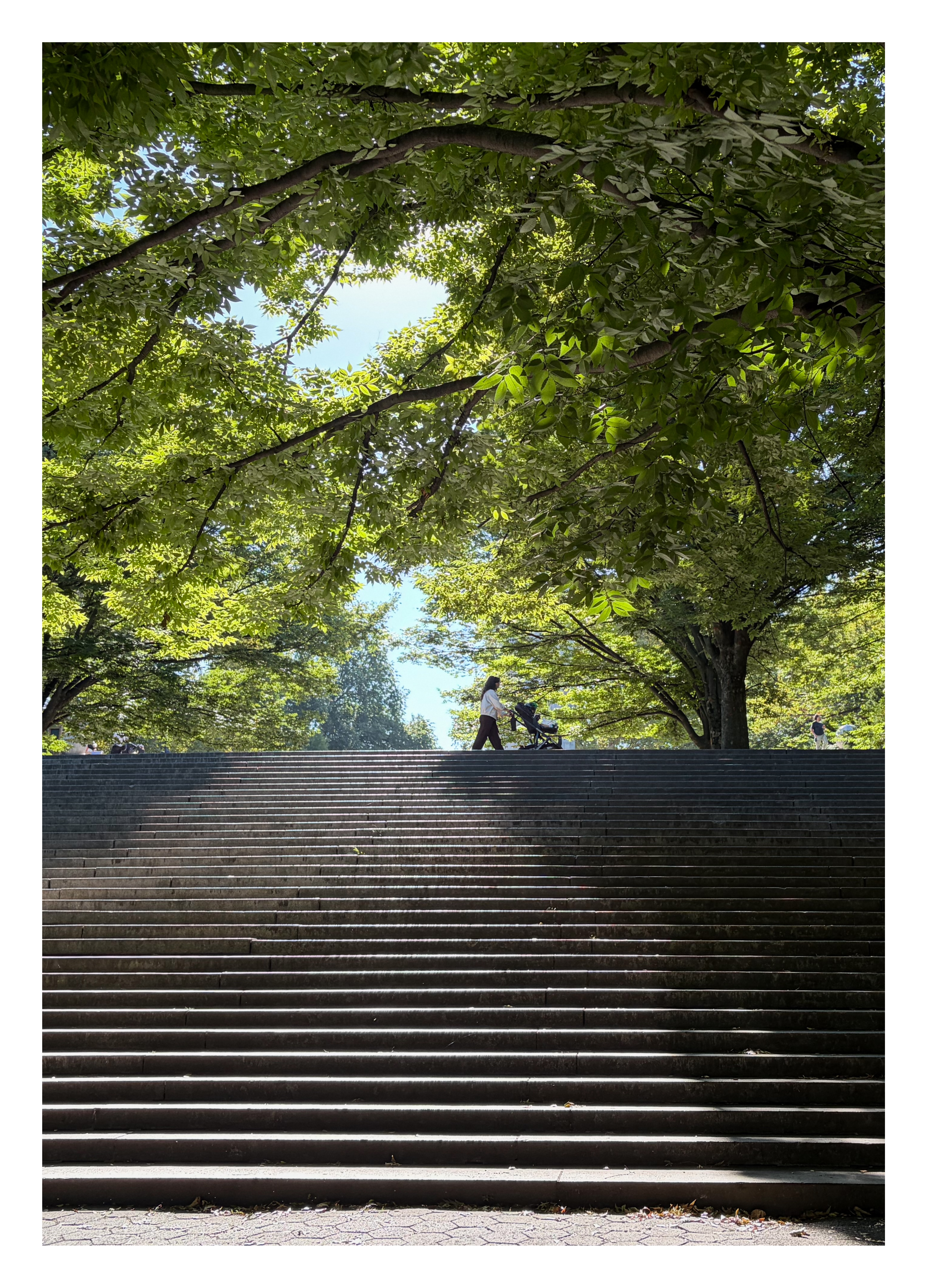 a woman walks along the length of a wide tall staircase in Fort Greene Park; morningsun beams through the surrounding trees
