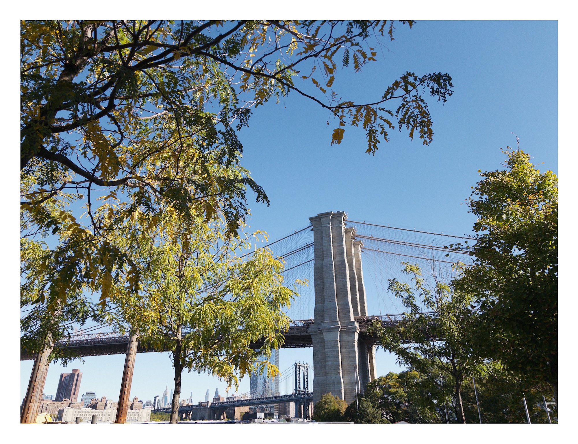 a morning view of the Brooklyn Bridge as seen through leafy trees in Brooklyn Bridge Park
