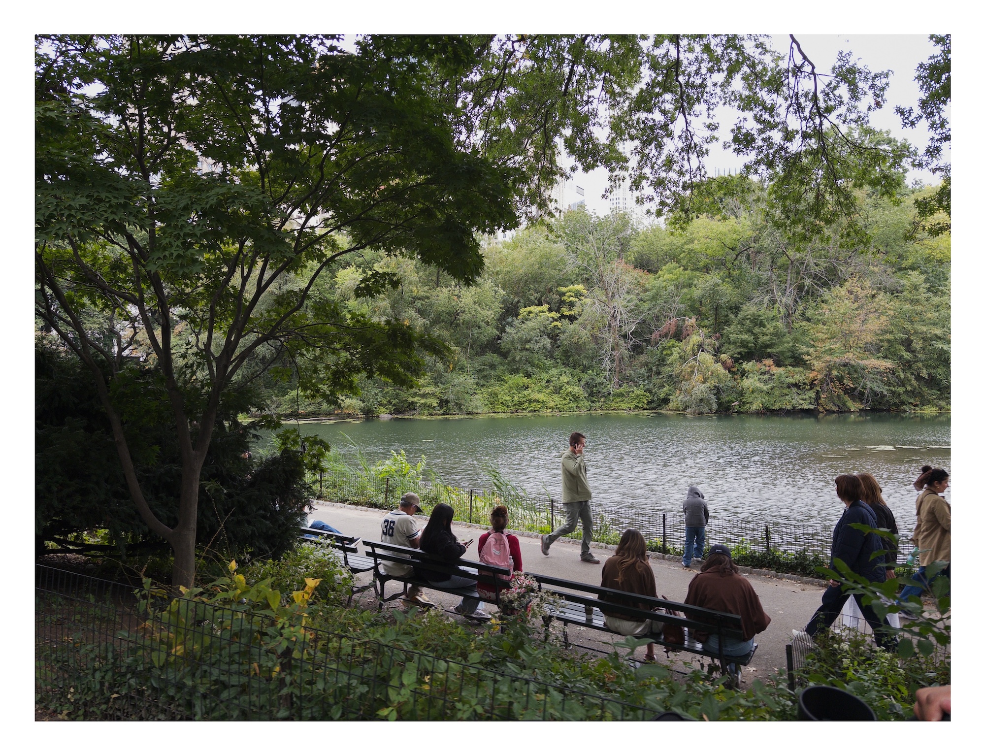 people sitting and strolling next to the pond at the south edge of Central Park