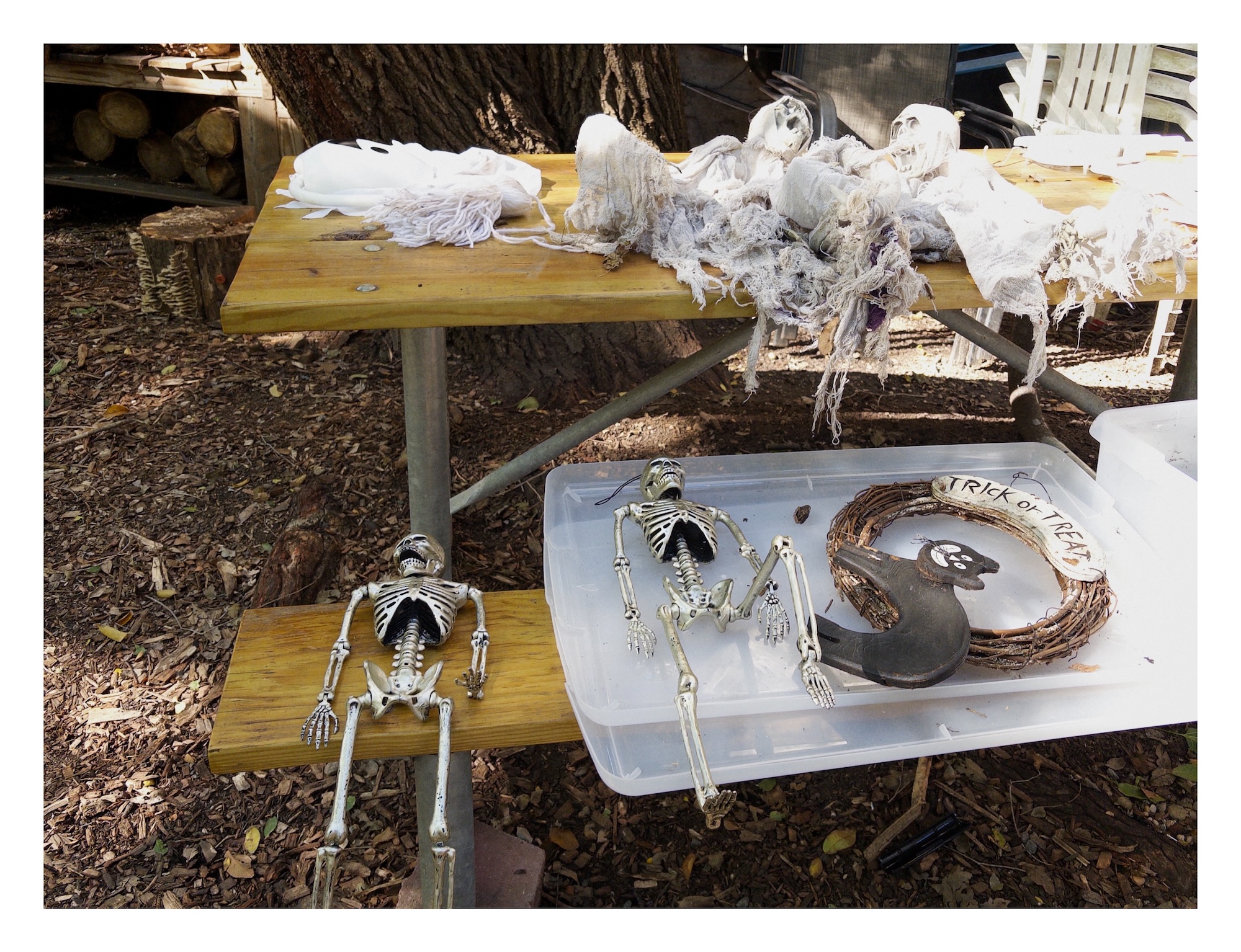 plastic skeletons for Halloween decoration are staged on wooden picnic table